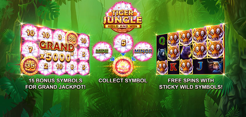3 Oaks Tiger Jungle Slot