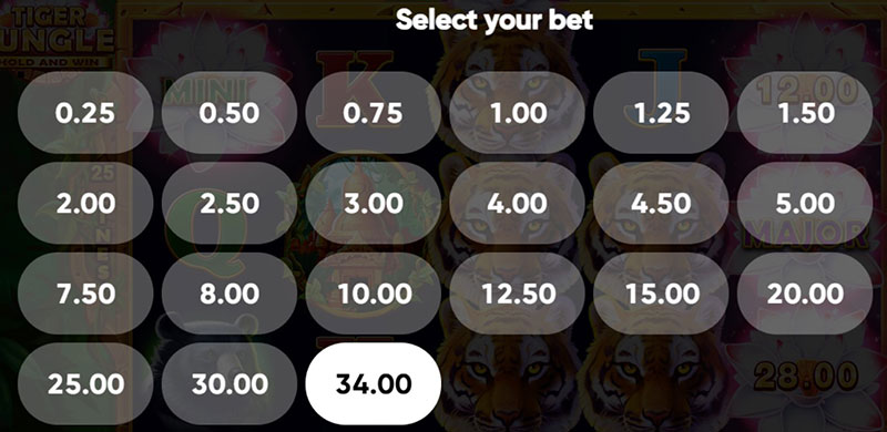 3 Oaks Tiger Jungle Slot - Betting Option