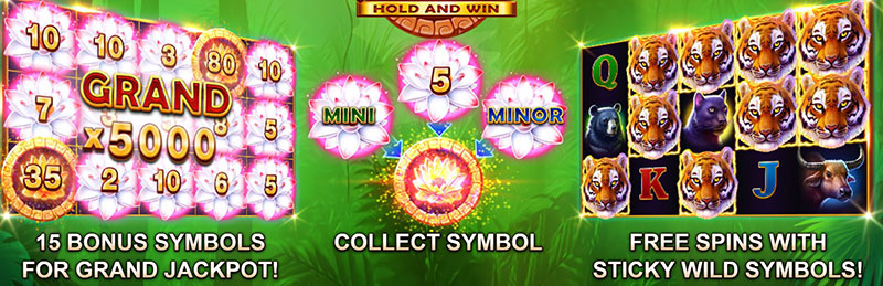 3 Oaks Tiger Jungle Slot - Bonus Features