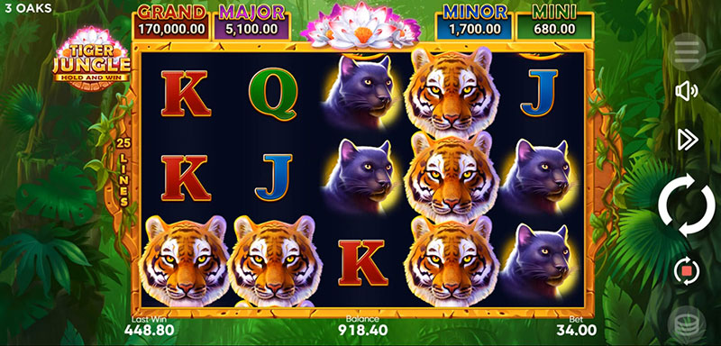 3 Oaks Tiger Jungle Slot - Wild Symbol