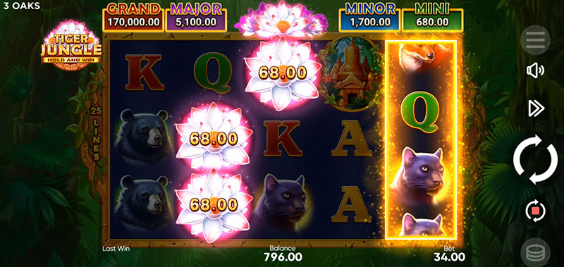 3 Oaks Tiger Jungle Slot - Bonus Symbol