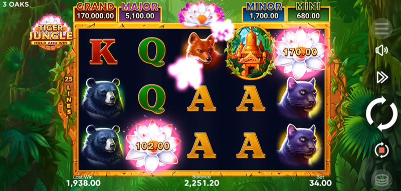 3 Oaks Tiger Jungle Slot - Scatter Symbol