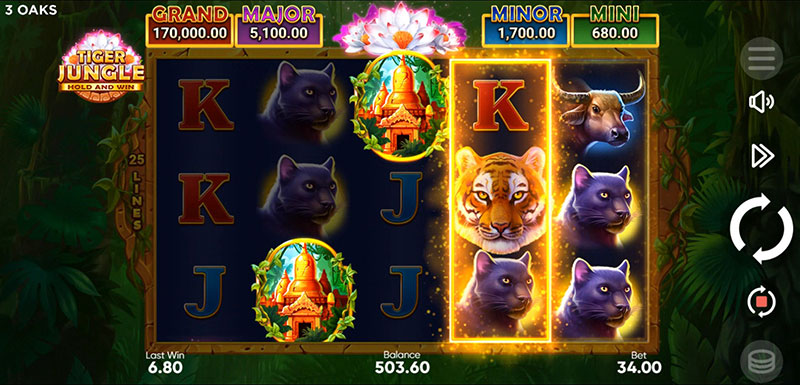 3 Oaks Tiger Jungle Slot - Jackpot