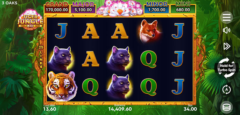 3 Oaks Tiger Jungle Slot - Symbols and Paytable