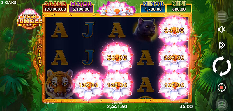3 Oaks Tiger Jungle Slot - Only Bonus Symbol Appear
