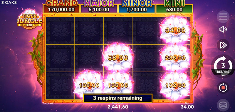 3 Oaks Tiger Jungle Slot - Respin Reset