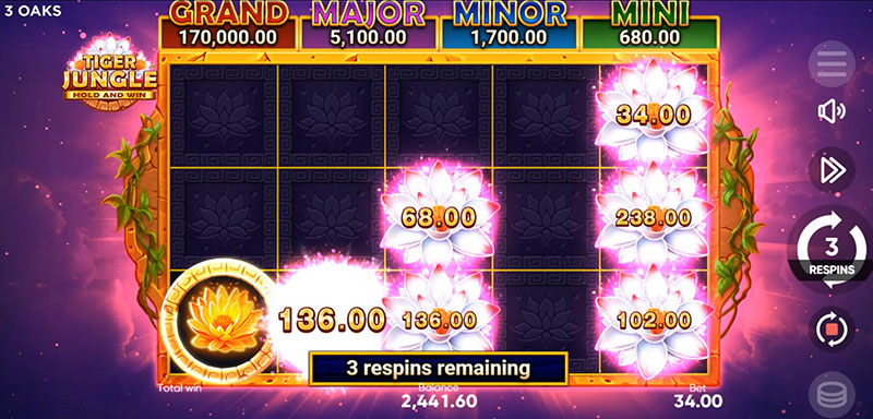3 Oaks Tiger Jungle Slot - Collect Symbol Value