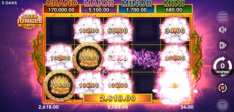 3 Oaks Tiger Jungle Slot - Bonus Win