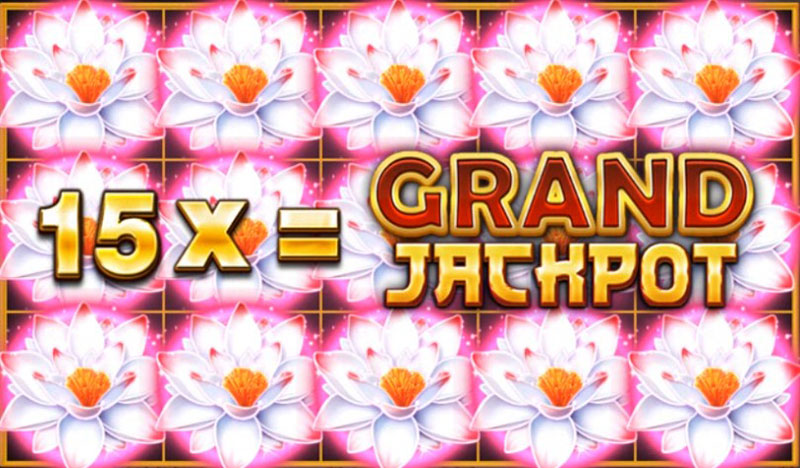 3 Oaks Tiger Jungle Slot - Free Spins Bonus Game