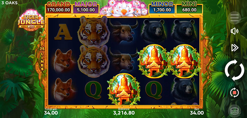 3 Oaks Tiger Jungle Slot - 8 Free Spins