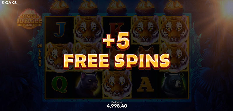 3 Oaks Tiger Jungle Slot - Total Win
