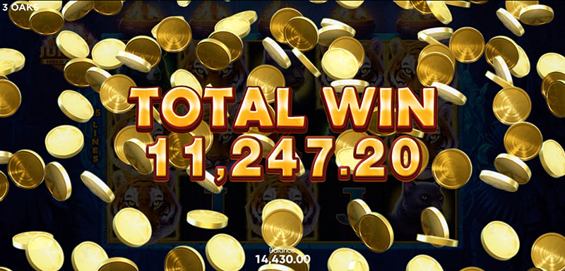 3 Oaks Tiger Jungle Slot - Big Win