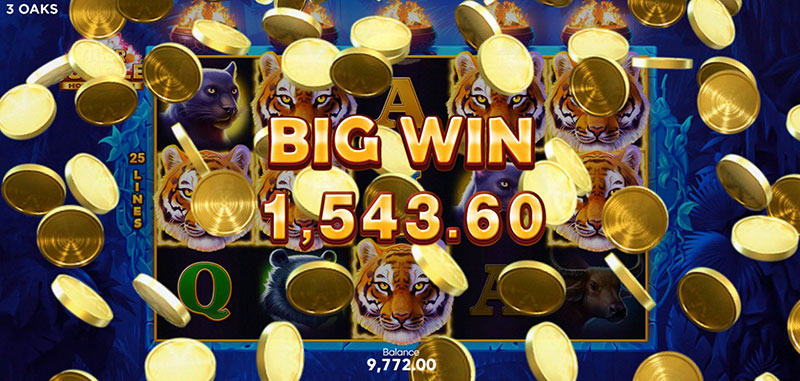 3 Oaks Tiger Jungle Slot - Mega Win